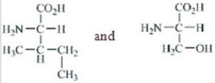 Which amino acids are obtained by hydrolyzing all the peptide bonds in the following polypeptide?   A)    B)    C)    D)    E)   