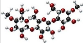 Identify the type of carbohydrate shown in this model.   A) monosaccharide B) disaccharide C) polysaccharide D) pentose E) cellulose