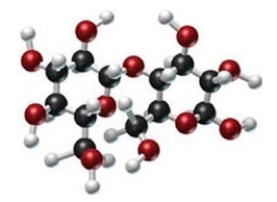 Identify the type of carbohydrate shown in this model.   A) monosaccharide B) disaccharide C) polysaccharide D) pentose E) cellulose