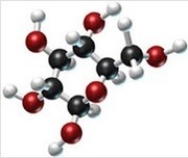Examine the following model of a carbohydrate and classify the molecule.   A) monosaccharide B) disaccharide C) polysaccharide D) glycogen E) cellulose
