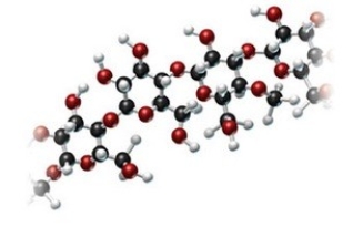 Examine the following model of a portion of a carbohydrate and classify the molecule.   A) monosaccharide B) disaccharide C) polysaccharide D) pentose E) sucrose