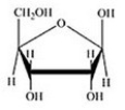 Glucose is a hexose sugar with the formula C<sub>6</sub>H<sub>12</sub>O<sub>6</sub>. Which of the following is α-glucose? A)    B)    C)    D)    E)   