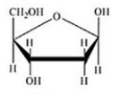 Glucose is a hexose sugar with the formula C<sub>6</sub>H<sub>12</sub>O<sub>6</sub>. Which of the following is α-glucose? A)    B)    C)    D)    E)   