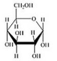 Glucose is a hexose sugar with the formula C<sub>6</sub>H<sub>12</sub>O<sub>6</sub>. Which of the following is α-glucose? A)    B)    C)    D)    E)   