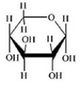 Glucose is a hexose sugar with the formula C<sub>6</sub>H<sub>12</sub>O<sub>6</sub>. Which of the following is α-glucose? A)    B)    C)    D)    E)   