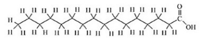 Which of the following best describes this molecule?   A) saturated fatty acid B) cis unsaturated fatty acid C) trans unsaturated fatty acid D) nucleic acid E) protein