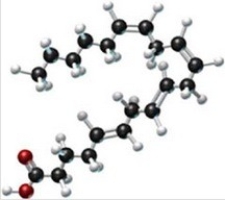 A triglyceride contains the following fatty acid. Is this triglyceride a solid fat or a liquid oil? Is it saturated or unsaturated? Does it contain cis or trans arrangements at the double bonds?   A) liquid oil, saturated, trans B) liquid oil, saturated, cis C) liquid oil, unsaturated, cis and trans D) solid fat, saturated, cis E) solid fat, unsaturated, trans