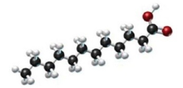 A triglyceride contains the following fatty acid. Is this triglyceride a fat or an oil? Is it a liquid or a solid? Is it saturated or unsaturated?   A) solid fat, unsaturated B) solid fat, saturated C) liquid fat, unsaturated D) liquid oil, unsaturated E) liquid oil, saturated
