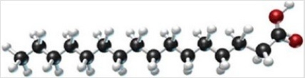A triglyceride is formed from the following fatty acid. Is this triglyceride a fat or an oil? Is it a solid or a liquid? Is it saturated or unsaturated?   A) solid fat, unsaturated B) solid fat, saturated C) liquid fat, unsaturated D) liquid oil, unsaturated E) liquid oil, saturated