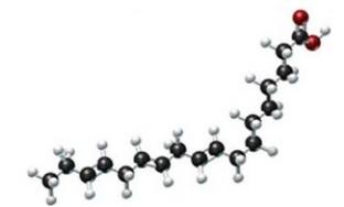 A triglyceride is formed from the following fatty acid. Is this triglyceride a solid fat or a liquid oil? Is it saturated or unsaturated? Does it have a cis or a trans arrangement?   A) liquid oil, saturated, trans B) liquid oil, saturated, cis C) liquid oil, unsaturated, cis D) solid fat, saturated, cis E) solid fat, unsaturated, trans