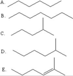 Select the line drawing for 2-methylhexane.   A) A B) B C) C D) D E) E