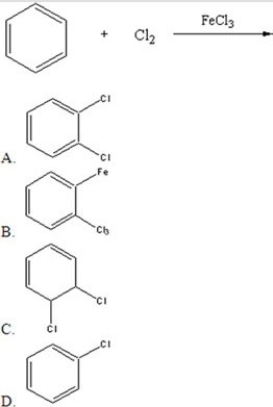 Identify the major product of the following catalyzed reaction.   A) A B) B C) C D) D E) No products.