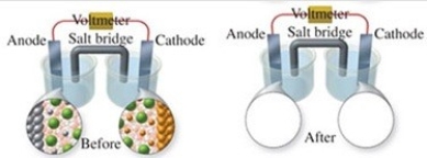 The figure shows a molecular-level representation of the following voltaic cell: Mg(s) + Sn<sup>2+</sup>(aq) → Mg<sup>2+</sup>(aq) + Sn(s) When drawing the  after  representation one would note that   A) the tin electrode will be smaller. B) the magnesium electrode will be larger. C) the number of Mg<sup>2+</sup> ions in solution will remain constant. D) deposits will form in the salt bridge. E) the number of Sn<sup>2+</sup> ions in solution will decrease.
