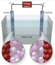 The figure shows the electrolysis of molten NaI. What reaction occurs at the anode of this cell?   A) NaI(l) → NaI<sub>2</sub>(l)  B) I<sup>−</sup>(l) + e<sup>−</sup> → I<sup>2−</sup> C) Na<sup>+</sup>(l) + e<sup>−</sup> → Na(l)  D) 2I<sup>−</sup>(l) + e<sup>−</sup> → I<sub>2</sub>(g)  E) 2I<sup>−</sup>(l) → I<sub>2</sub>(g) + 2e<sup>−</sup>