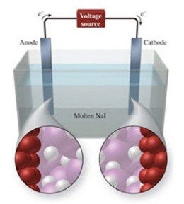 The figure shows the electrolysis of molten NaI. What reaction occurs at the cathode of this cell?   A) NaI(l) → NaI<sub>2</sub>(l)  B) I<sup>−</sup>(l) + e<sup>−</sup> → I<sup>2−</sup> C) Na<sup>+</sup>(l) + e<sup>−</sup> → Na(l)  D) 2I<sup>−</sup>(l) + e<sup>−</sup> → I<sub>2</sub>(g)  E) 2I<sup>−</sup>(l) → I<sub>2</sub>(g) + 2e<sup>−</sup>