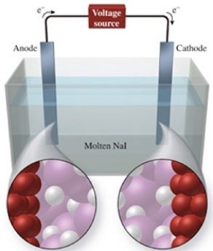The figure shows the electrolysis of molten NaI. What reaction occurs at the anode of this cell?   A) NaI(l) → Na<sup>+</sup>(l) + I<sup>−</sup>(l)  B) NaI(l) → Na(l) + I(g)  C) NaI(s) → Na<sup>+</sup>(aq) + I<sup>−</sup>(aq)  D) 2NaI(s) → 2Na(s) + I<sub>2</sub>(s)  E) 2NaI(l) → 2Na(l) + I<sub>2</sub>(g) 