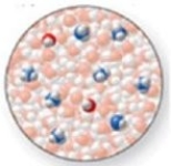 The image shows a molecular-level representation of part of a solution after ammonia, NH<sub>3</sub>, is dissolved in water. (Besides water, there are 2 NH<sub>4</sub><sup>+</sup> ions, 6 NH<sub>3</sub> molecules, and 2 OH<sup>−</sup> ions present in the solution.) . Which of the following best describes NH<sub>3</sub>?   A) strong acid B) strong base C) weak acid D) weak base E) amphoteric