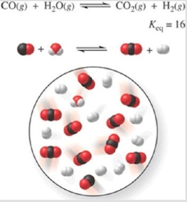 Consider the reaction CO(g) + H<sub>2</sub>O(g) ⇌CO<sub>2</sub>(g) + H<sub>2</sub>(g) , represented by the following diagram:   What is the composition of this system when the reaction reaches equilibrium? A) 3 CO, 3 H<sub>2</sub>O, 7 CO<sub>2</sub>, 7 H<sub>2</sub> B) 1 CO, 1 H<sub>2</sub>O, 4 CO<sub>2</sub>, 4 H<sub>2</sub> C) 2 CO, 2 H<sub>2</sub>O, 8 CO<sub>2</sub>, 8 H<sub>2</sub> D) 8 CO, 8 H<sub>2</sub>O, 2 CO<sub>2</sub>, 2 H<sub>2</sub> E) 4 CO, 6 H<sub>2</sub>O, 4 CO<sub>2</sub>, 6 H<sub>2</sub>