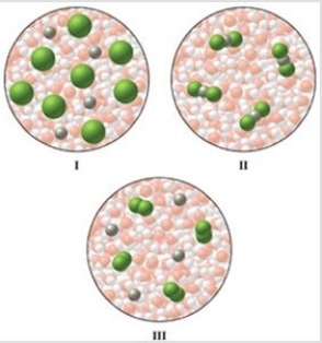 Which of the diagrams in the figure best represents an aqueous solution of MgCl<sub>2</sub>?   A) I B) II C) III D) either I or III E) none of these is correct