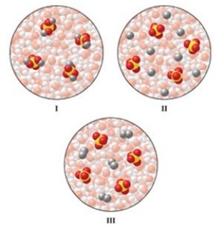 Which of the diagrams in the figure best represents an aqueous solution of Na<sub>2</sub>SO<sub>4</sub>?   A) I B) II C) III D) either I or III E) none of these is correct