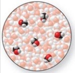 The solute in the solution shown in the figure is a nonelectrolyte.  