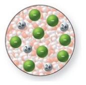 The solute in the solution shown in the figure is a nonelectrolyte.  