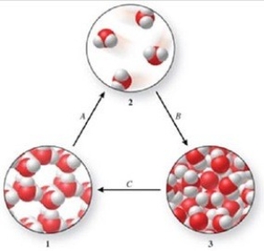 Three phases of water are shown in the figure. List the terms used to identify the phase changes indicated by the arrows.   A) A = sublimation, B = vaporization, C = freezing B) A = vaporization, B = condensation, C = melting C) A = vaporization, B = deposition, C = melting D) A = sublimation, B = condensation, C = freezing E) A = condensation, B = sublimation, C = freezing