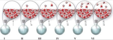 Which of the molecular-level images in the figure shows the liquid and vapor phases in equilibrium in a closed container?   A) I, II, and III B) none of the images C) I D) V E) V and VI