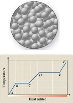 The diagram represents the physical state of a substance. Where does this physical state occur on the heating curve?   A) AB B) BC C) CD D) DE E) EF