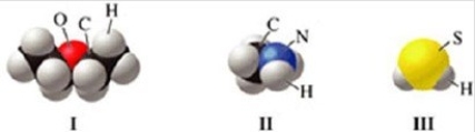 Which of the molecules in the figure has hydrogen bonding in the pure liquid state?   A) I only B) II only C) III only D) II and III E) I and II