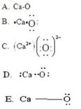 Which of the following best represents the bonding for CaO?   A) A B) B C) C D) D E) E