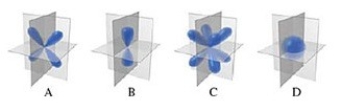 Which of the images represents a p orbital?   A) A B) B C) C D) D E) none of the