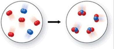 Which of the following is the best (simplest) balanced equation to represent the chemical reaction shown in the figure on any scale?   A) 4A + 8B → 12AB B) 2A<sub>2</sub> + 4B<sub>2</sub> → 4A<sub>2</sub>B C) 2A<sub>2</sub> + 4B<sub>2</sub> → 4AB<sub>2</sub> D) A<sub>2</sub> + B<sub>2</sub> → AB<sub>2</sub> E) A<sub>2</sub> + 2B<sub>2</sub> → 2AB<sub>2</sub>