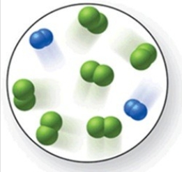 When the mixture of molecules shown in the molecular-level image undergoes complete reaction, all of these molecules are converted to products. Which of the following reactions could this represent?   A) 2N<sub>2</sub> + 3O<sub>2</sub> → 2N<sub>2</sub>O<sub>3</sub> B) N<sub>2</sub> + 2Cl<sub>2</sub> → N<sub>2</sub>Cl<sub>4</sub> C) O<sub>2</sub> + 2H<sub>2</sub> → 2H<sub>2</sub>O D) N<sub>2</sub> + 3Cl<sub>2</sub> → 2NCl<sub>3</sub> E) 3N<sub>2</sub> + 2H<sub>2</sub> → 3N<sub>2</sub>H<sub>4</sub>