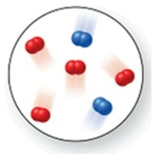 Consider the reaction N<sub>2</sub>(g) + O<sub>2</sub>(g) → 2NO(g) . The molecular image represents a mixture of N<sub>2</sub>(g) and O<sub>2</sub>(g) just before reaction occurs. What is the limiting reactant, and how much of the excess reactant remains after the reaction is complete? The image contains 2 N<sub>2</sub> molecules and 4 O<sub>2</sub> molecules.   A) N<sub>2</sub>(g) , 1 O<sub>2</sub>(g)  B) N<sub>2</sub>(g) , 2 O<sub>2</sub>(g)  C) N<sub>2</sub>(g) , 3 O<sub>2</sub>(g)  D) O<sub>2</sub>(g) , 1 N<sub>2</sub>(g)  E) N<sub>2</sub>(g) , 0 O<sub>2</sub>(g) 