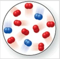 Consider the reaction N<sub>2</sub>(g) + 2O<sub>2</sub>(g) → 2NO<sub>2</sub>(g) . The molecular image represents a mixture of N<sub>2</sub>(g) and O<sub>2</sub>(g) just before reaction occurs. What is the limiting reactant, and how much of the excess reactant remains after the reaction is complete? The image contains 3 N<sub>2</sub> molecules and 9 O<sub>2</sub> molecules.   A) N<sub>2</sub>(g) , 6 O<sub>2</sub>(g)  B) O<sub>2</sub>(g) , 1 N<sub>2</sub>(g)  C) N<sub>2</sub>(g) , 3 O<sub>2</sub>(g)  D) O<sub>2</sub>(g) , 2 N<sub>2</sub>(g)  E) N<sub>2</sub>(g) , 7 O<sub>2</sub>(g) 