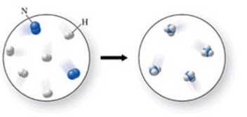 The figure shows the chemical reaction between nitrogen gas and hydrogen gas to produce ammonia (NH<sub>3</sub>) gas. Which of the following changes would make the diagram correctly represent conservation of mass?   A) Add one H<sub>2</sub> molecule from the image on the left. B) Add three NH<sub>3</sub> molecules to the image on the right. C) Add three H<sub>2</sub> molecules to the image on the right. D) Remove one H<sub>2</sub> molecules from the image on the left. E) Remove one NH<sub>3</sub> molecule from the image on the left.
