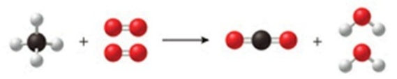 Methane burns with oxygen gas to form carbon dioxide and water vapor. The class of this reaction is   A) double-displacement reaction. B) decomposition reaction. C) combustion reaction. D) combination reaction. E) single-displacement reaction.