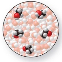 The molecular-level diagram of an aqueous solution shows a solute which is a nonelectrolyte.  