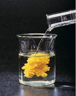 Examine the photograph. Note any evidence of the occurrence of a chemical reaction.   © McGraw-Hill Education/Stephen Frisch, photographer