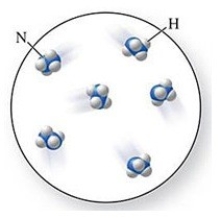 The molecular formula of the molecules in the figure is:   A) NH<sub>4</sub> B) N<sub>2</sub>H<sub>4</sub> C) NH<sub>3</sub> D) N<sub>2</sub>H<sub>3</sub> E) N<sub>4</sub>H<sub>2</sub>