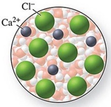 The solute in the solution shown in the figure is CaCl.  