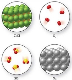 Calculate the molar mass of O<sub>2</sub> in the figure below.  