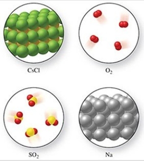 Calculate the molar mass of Na in the figure below.  