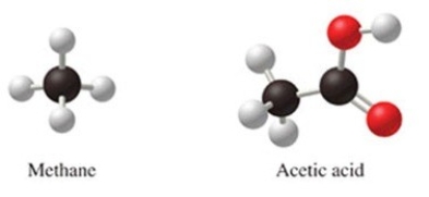Methane, CH<sub>4</sub>, and acetic acid, CH<sub>3</sub>CO<sub>2</sub>H, are both acids because they both contain hydrogen.  
