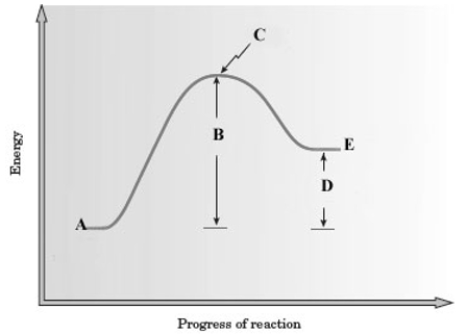 Consider the following energy diagram for a reaction.   Which of the following is a correct interpretation of the graph? A)  The energy of the products is less than that of the reactants, so the reaction is endothermic. B)  The energy of the products is greater than that of the reactants, so the reaction is endothermic. C)  The energy of the products is less than that of the reactants, so the reaction is exothermic. D)  The energy of the products is greater than that of the reactants, so the reaction is exothermic.