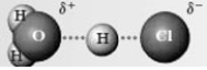 In the reaction of HCl with water:   The following species forms. ​   In the given energy diagram, which letter represents this species? A)  A B)  B C)  C D)  D E)  E