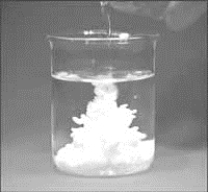 Examine the reaction taking place in the beaker in the image.   Which of the following might be the product being formed in the beaker? A)  KNO<sub>3</sub>(s)  B)  AgCl(s)  C)  Zn(s)  D)  Pb<sup>2+</sup>(aq) 