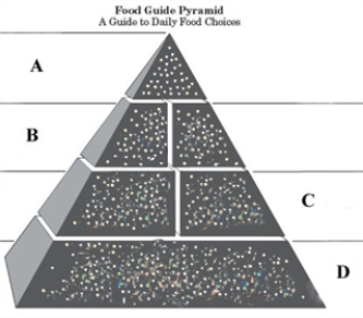 Consider the given blank food pyramid.   In which level of the food pyramid are the substances found that should be minimized in the diet? A)  A B)  B C)  C D)  D