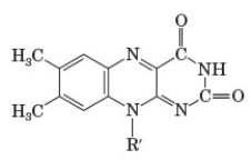 Consider the structural diagram of the operative part of a biologically active molecule. Which of the following coenzymes has the given structure?   A)  NAD<sup>+</sup> B)  NADH C)  FAD D)  FADH<sub>2</sub>